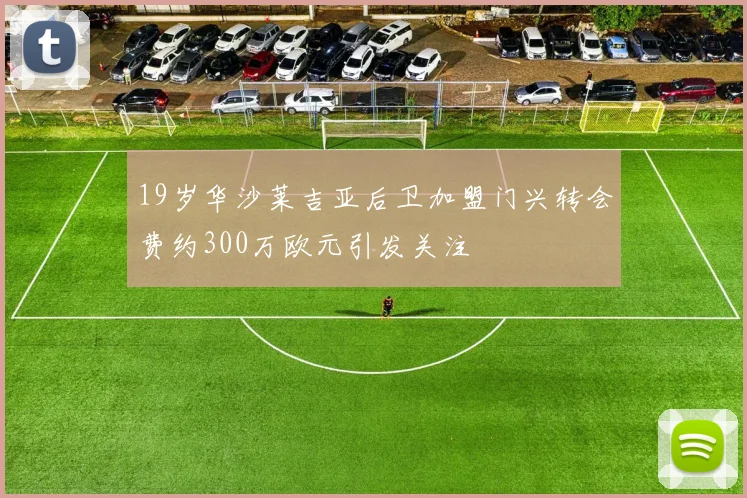 19岁华沙莱吉亚后卫加盟门兴转会费约300万欧元引发关注