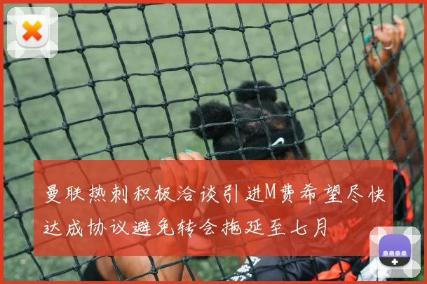 曼联热刺积极洽谈引进M费希望尽快达成协议避免转会拖延至七月
