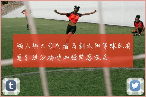 湖人热火步行者马刺太阳等球队有意引进沙梅特加强阵容深度